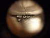 DSCF1250.jpg