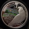 cockatoo_4.jpg