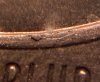 IMG_2251.jpeg