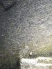 IMG_2120.jpeg