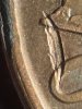 IMG_2498.jpeg