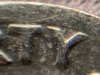 IMG_2639.jpeg