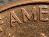 IMG_2772.jpeg
