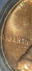 IMG_2749.png