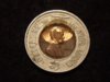 DSCF1295.jpg