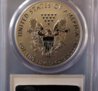 Silver Eagle 2.jpg