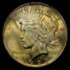 1923_Peace_Dollar_NGC_MS64_Toned_stripe_obv.jpg