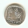 Israeli Coin maybe0001.jpg