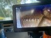 IMG_1663.jpeg