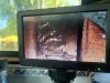 IMG_1670.jpeg
