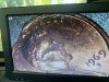 IMG_1668.jpeg