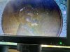 IMG_1680.jpeg