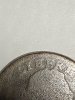 IMG_9950.jpeg