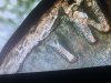 IMG_1802.jpeg