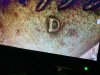 IMG_1807.jpeg