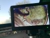 IMG_1811.jpeg