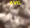 AVG.jpg