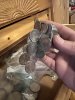 IMG_5663.jpeg