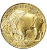 Gold_Buffalo_50.JPG