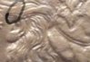 coin2.jpg