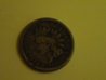 DSCN5574.jpg
