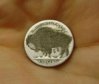 Hairy Buffalo Hobo Nickel.jpg