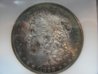 DSC01166.jpg