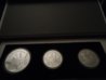 DSC08510.jpg