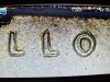 20231004_120422.jpg