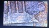 IMG-2677x2.JPG