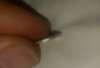 20231019_024247.jpg