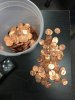 IMG_2634.jpeg