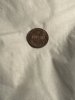 IMG_2817.jpeg