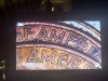 IMG_3976.jpeg