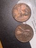 IMG_3969.jpeg