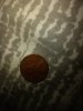 20231113_173709.jpg