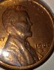 20231202_042940.jpg