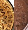 1865 fancy5 variety 35 side by side.jpg