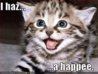 happee1.jpg
