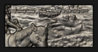 1969_Heraldic_Art_Medal_Transcontinental_Railroad_NGC_MS68_composite_closeup.jpg