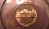 PCGS MS64 1943-D Rev.jpg