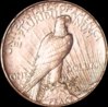 1921-VAM3-Rev-large.jpg