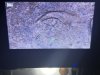 IMG_4768.jpeg