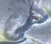 Photo_Magnifying 09.12.2023 11_35_07~2.png