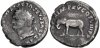 Titus Denarius Orfew Short Collection Elephant.jpg
