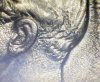 IMG_7060.jpeg