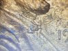 IMG_7363.jpeg