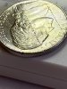 IMG_7533.jpeg
