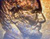IMG_7641.jpeg