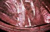 S20231228_0023.jpg
